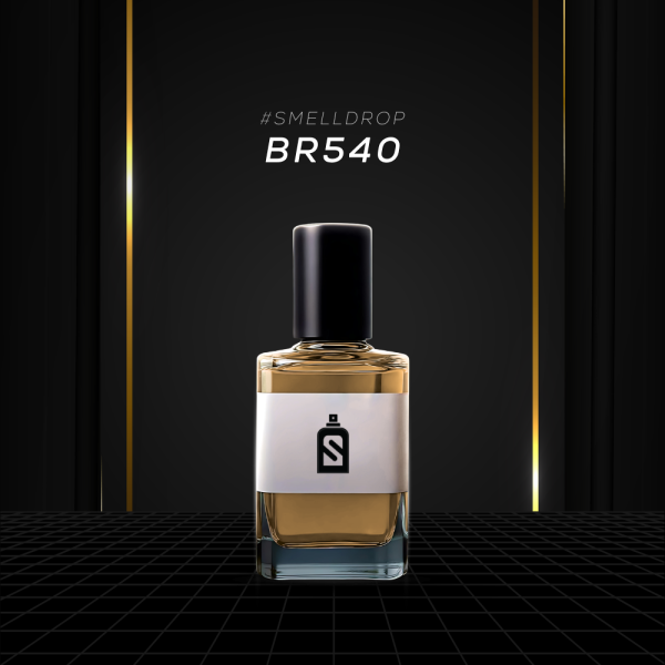 BR540 - Image 4